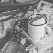 Hot chocolate with marshmallows and cinnamon sticks