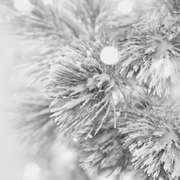 Snow on Christmas Tree