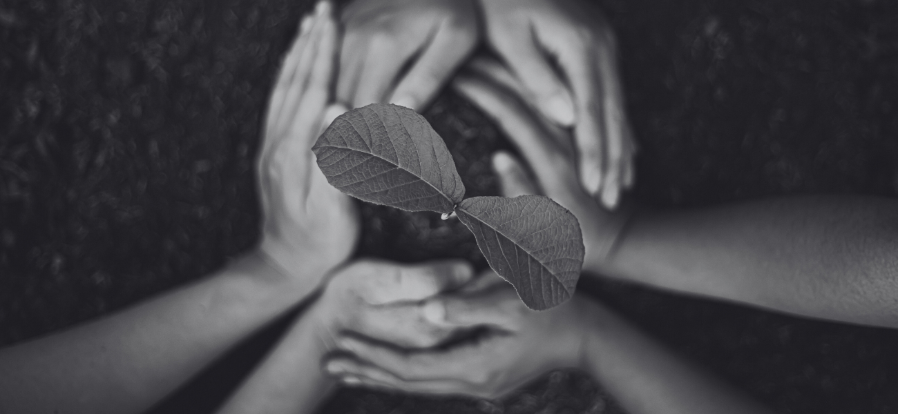 Sustainability Guidance