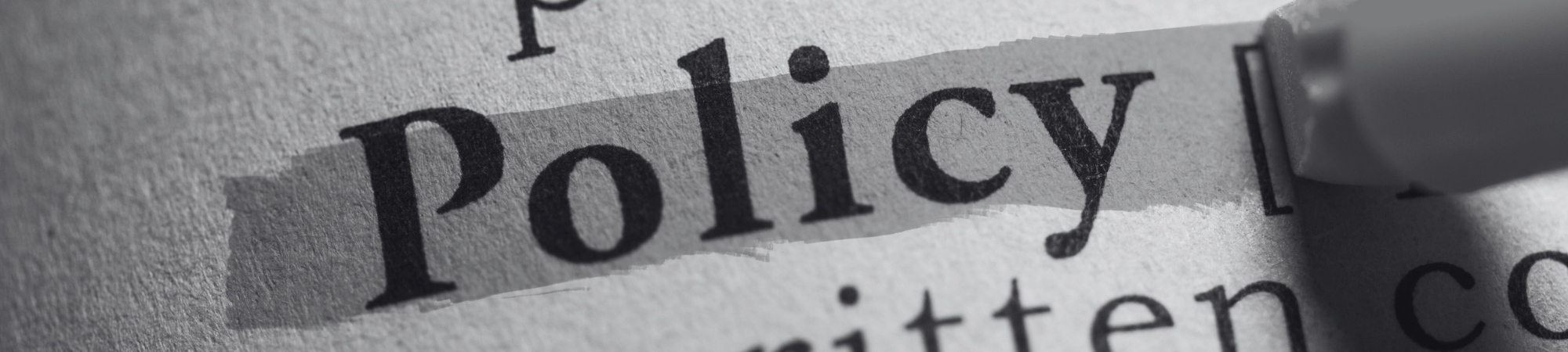 The word policy highlighted in a dictionary