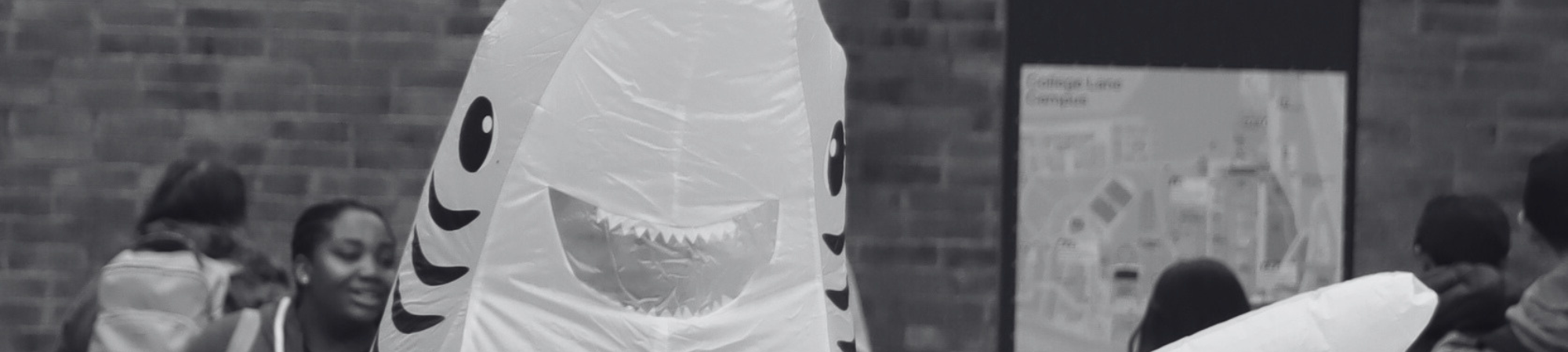Sharkie walking outside