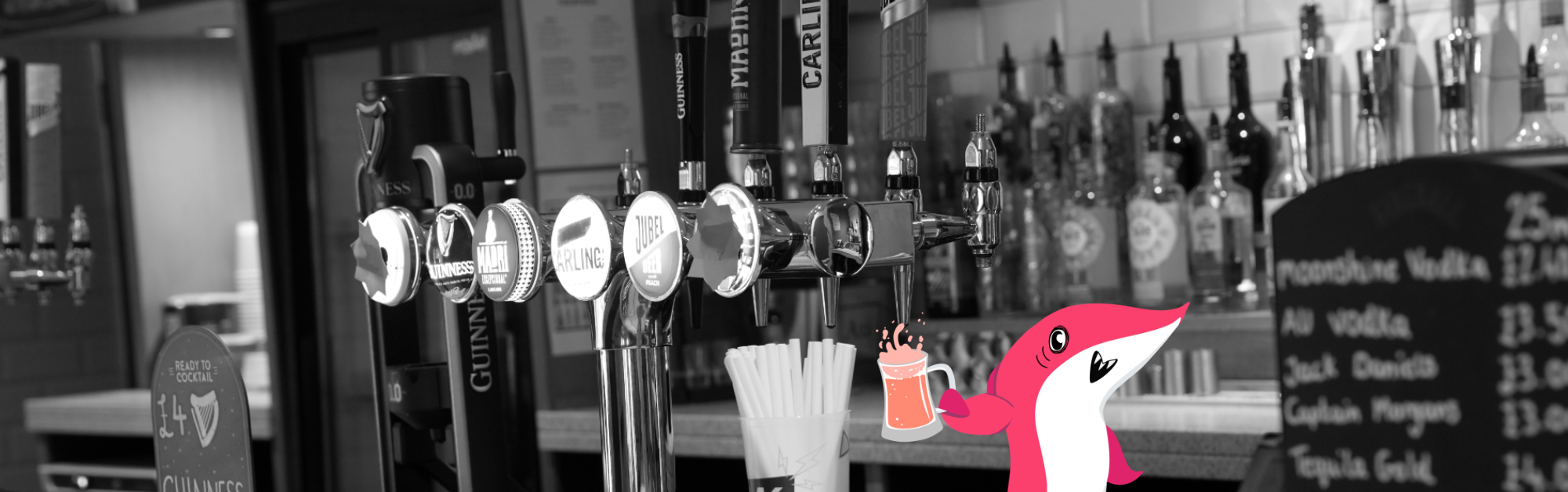 photo of the elehouse bar with sharkie